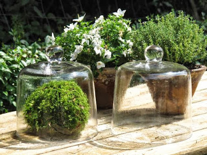 Hortulus Floristik und Gartenkultur