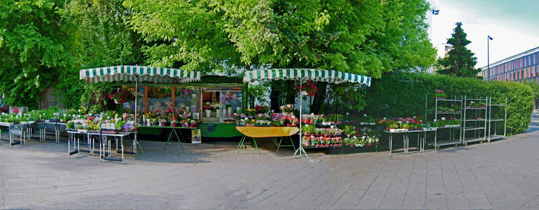 Blumen Blumencar Lücke