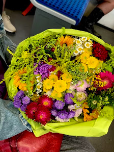 Blumen Blumencar Lücke