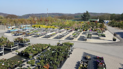 Bommerholzer Baumschulen Roman Senekovic GmbH
