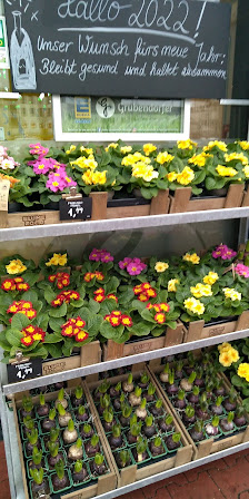 BLUME2000 im Edeka Herdecke