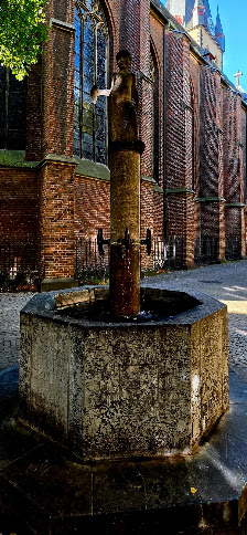 Fleursmann Düsseldorf