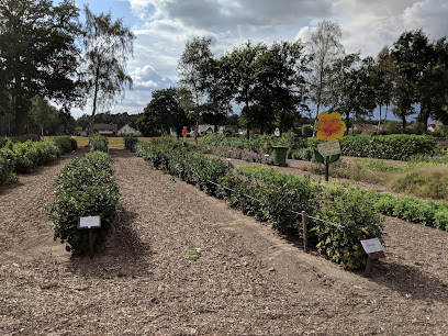 Blumenmarkt in Rheda-Wiedenbrück