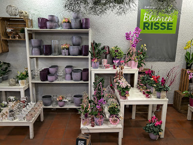 Blumen Risse Blumenladen Gevelsberg