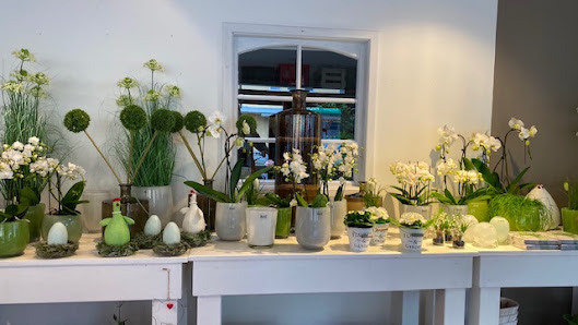 Blumen Andreas Zappe