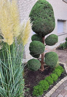 Hand und Herz Gartenpflege