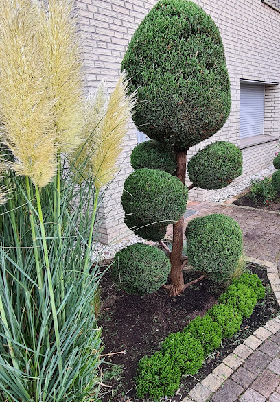 Hand und Herz Gartenpflege