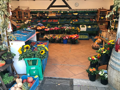 Gärtnerei & Hofladen van der Wingen Düsseldorf