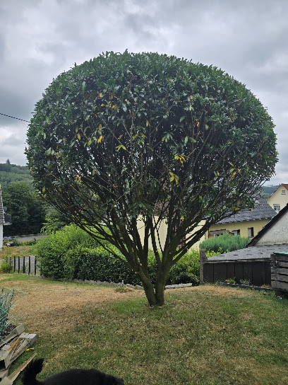 Gartenbauer