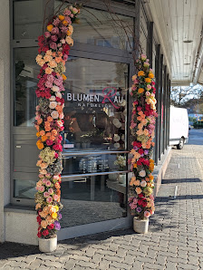 Blumen Rau