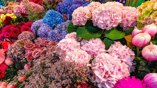 BLUMEN BRÜNING e.K.