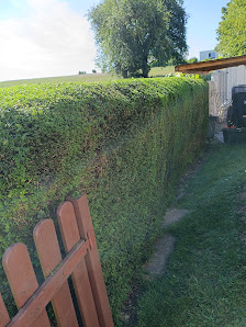 Gartenpflege Hausmeisterservice Roman
