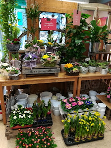 Heinz Gerd Koch Blumenhandel