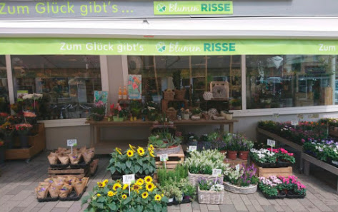 Blumen Risse Blumenladen Radevormwald