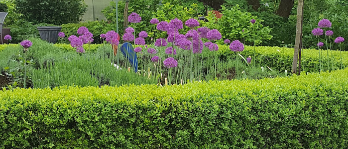 Schwaiger Gartengestaltung - Garten Landschaftsbau, Pflasterbau