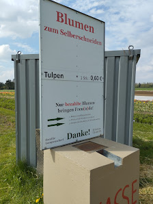 Blumen zum selber schneiden Lampenscherf