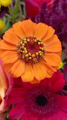 Blumenwerkstatt Carolin Patzer