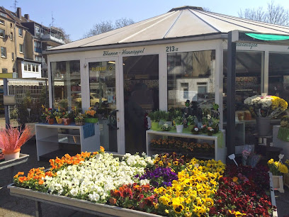 Blumen Hannappel