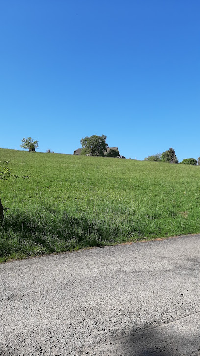 SIEPE Garten- und Landschaftsbau