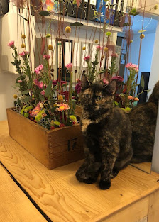 Blumenwerkstatt Susanne König