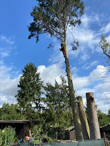Gartengestaltung Schwalbach am Taunus