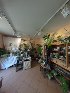 Blumen Lux Inh. Rolf Lux