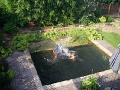 Thomas Spieler Garten- u. Landschaftsbau