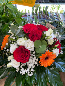 PROFiFLORA