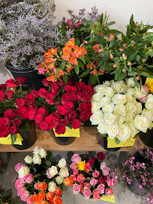PROFiFLORA