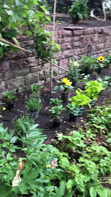 Gartenservice Krause