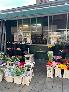 Blumen und mehr Düsseldorf Kirchplatz