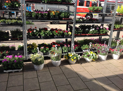 Blumen und mehr Düsseldorf Kirchplatz