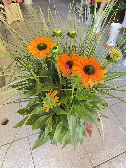 Sophie Blumen & Pflanzen
