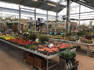 OBI Gartencenter Lindlar
