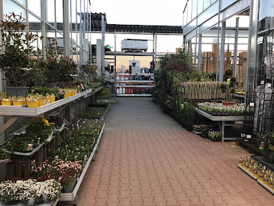 OBI Gartencenter Lindlar