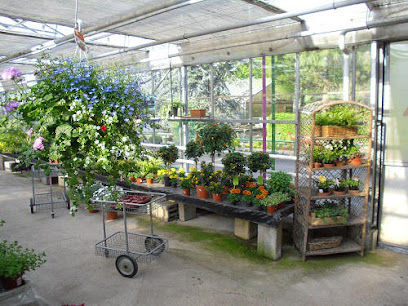 Blumen Henger