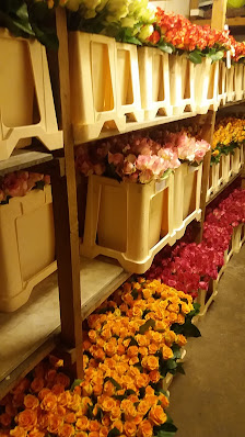 Blumen Henger