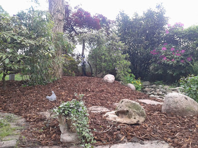 Stief Gartenbau