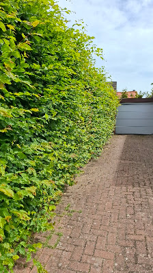 Pohl Gartenservice und Dienstleistungen
