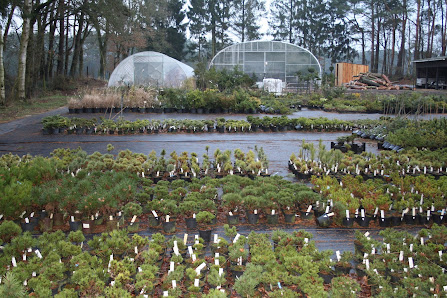 Pflanzen-Zentrum Horstmann GbR