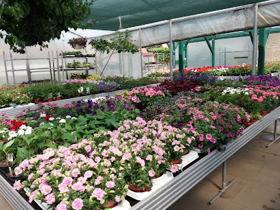 Blumenhaus Klipp