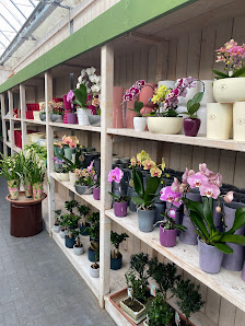 Johannsen Gartenfachmarkt
