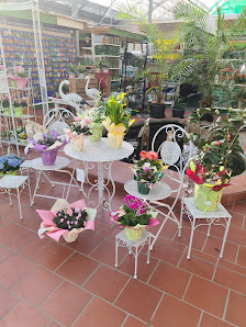 Johannsen Gartenfachmarkt