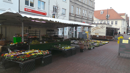 Gärtnerei Ina Molitor Wochenmarkt