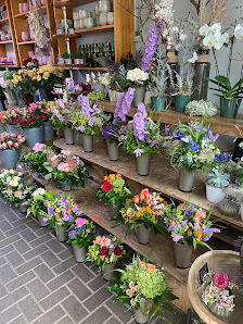 Blumen Schneider
