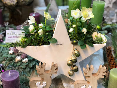 Blumen Schneider