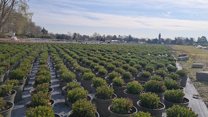 Gartenbau Stefan Leuchten
