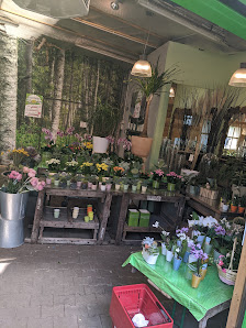 Schnitzler’s Blumen