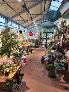 Blumen und Geschenkideen Loewe