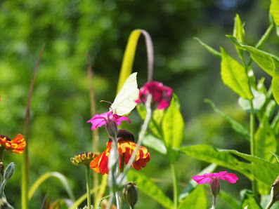 GarNa; Garten und Natur